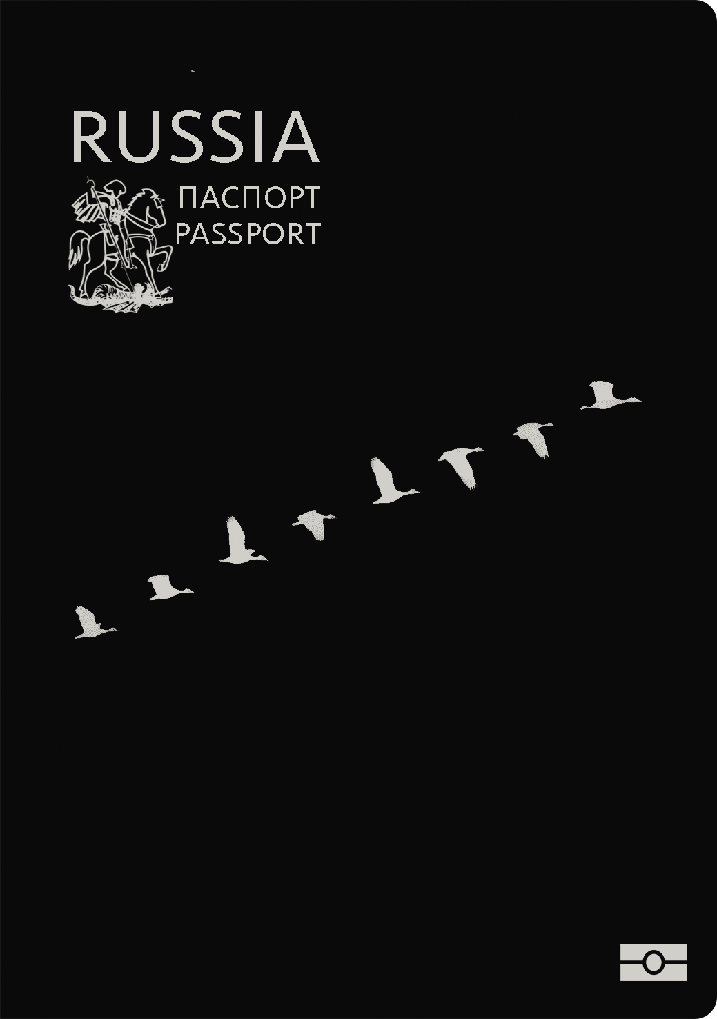Black passport cover